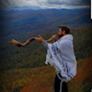 Meet your Posher, Donato